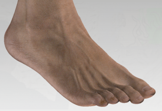 ماسح ثلاثي الأبعاد بكاميرات صناعية